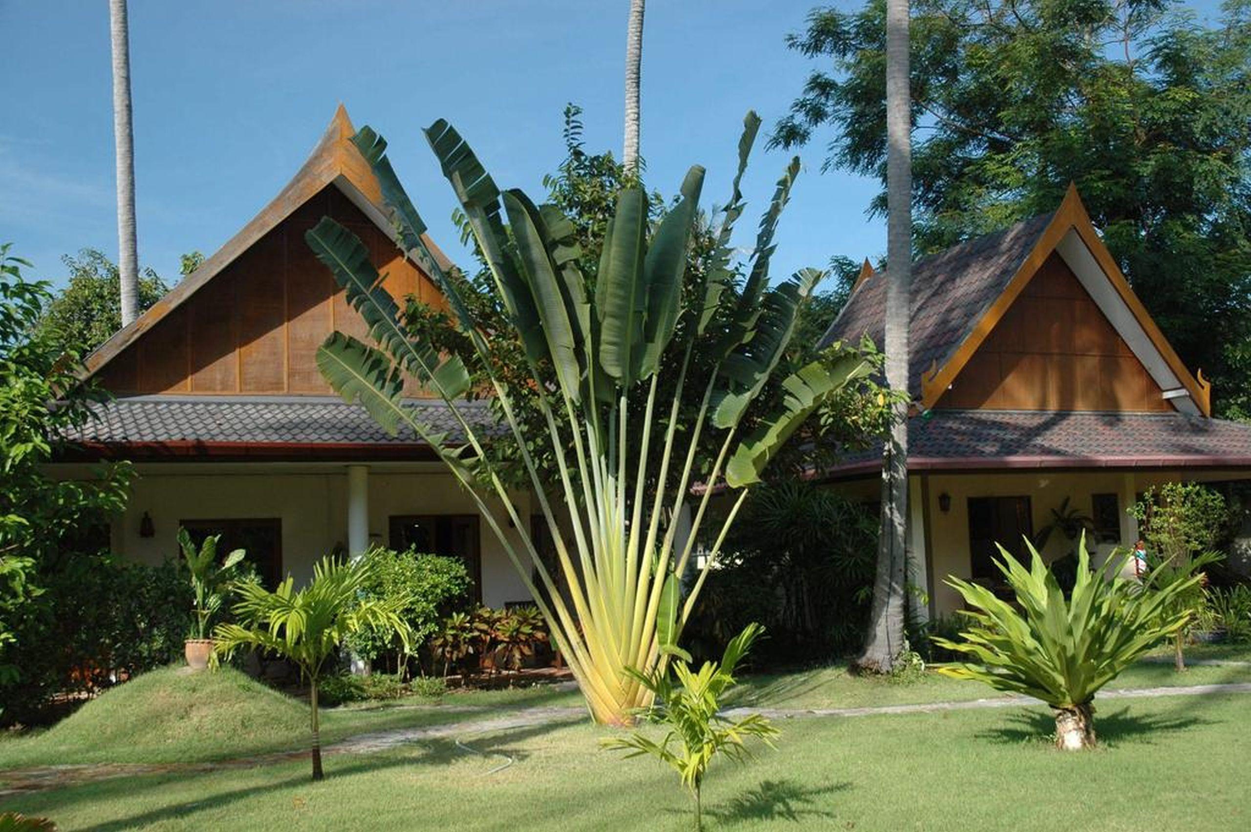 Palm Garden Resort Rawai Экстерьер фото