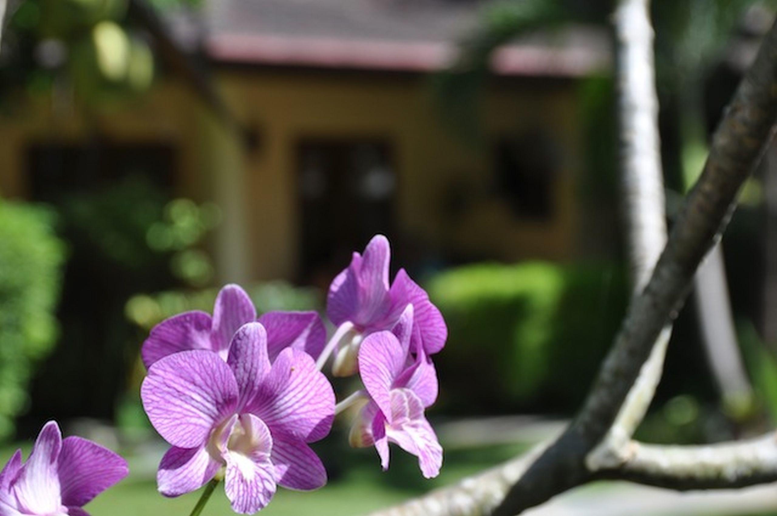 Palm Garden Resort Rawai Экстерьер фото